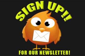 Sign up for Global Arts Project Newsletter